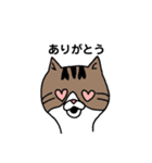 きじとらにゃんこ（個別スタンプ：14）