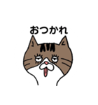きじとらにゃんこ（個別スタンプ：16）