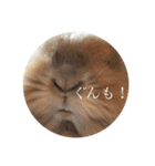 うさぎのもふまる（個別スタンプ：2）