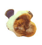 うさぎのもふまる（個別スタンプ：5）