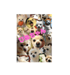 ひめちゃんひめちゃん（個別スタンプ：4）