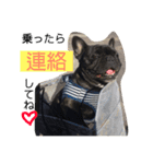 B君（個別スタンプ：7）