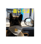 B君（個別スタンプ：9）