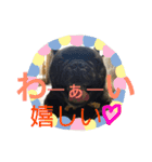 B君（個別スタンプ：13）