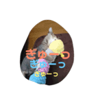 ぶううう1（個別スタンプ：2）
