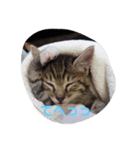 ぶううう1（個別スタンプ：3）