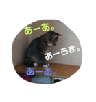 ぶううう1（個別スタンプ：7）