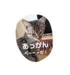 ぶううう1（個別スタンプ：8）