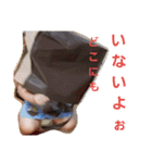 かのきちん（個別スタンプ：12）