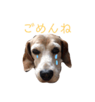 もも もも スタンプ2（個別スタンプ：10）