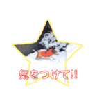 もも もも スタンプ2（個別スタンプ：14）