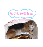 もも もも スタンプ2（個別スタンプ：16）