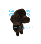 ビスケくん（個別スタンプ：2）
