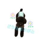 ビスケくん（個別スタンプ：24）