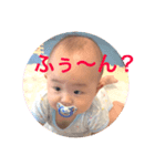 麗しのかいくん（個別スタンプ：3）