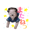眞叶のSTAMP！！！！（個別スタンプ：24）