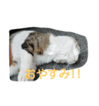 りっちゃんのお部屋（個別スタンプ：3）