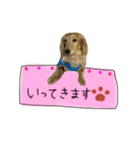 ダックス2！（個別スタンプ：7）