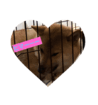 柴犬の銀次郎（個別スタンプ：1）