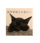 まめちゃんすたんぷ（個別スタンプ：2）