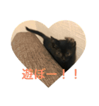 まめちゃんすたんぷ（個別スタンプ：4）