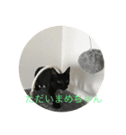 まめちゃんすたんぷ（個別スタンプ：15）