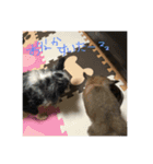 あーそーぼ（個別スタンプ：4）