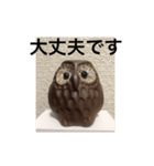 プラスの言葉 フクロウ（個別スタンプ：1）