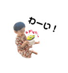 こまたんぷ（個別スタンプ：11）