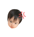 こまたんぷ（個別スタンプ：13）