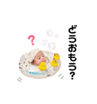 こまたんぷ（個別スタンプ：29）
