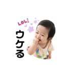 こまたんぷ（個別スタンプ：36）