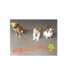 てるおと仲間たち2（個別スタンプ：9）