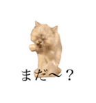 ウチのboss（個別スタンプ：15）