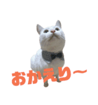 雪慶ニャーズ コラボ1（個別スタンプ：4）