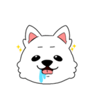 毎日の ドック（個別スタンプ：4）