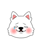毎日の ドック（個別スタンプ：9）
