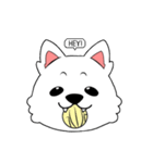 毎日の ドック（個別スタンプ：13）