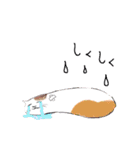 ねこ活（個別スタンプ：3）