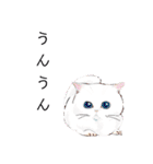 ねこ活（個別スタンプ：5）