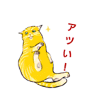 ねこ活（個別スタンプ：6）