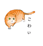 ねこ活（個別スタンプ：9）