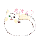 ねこ活（個別スタンプ：11）