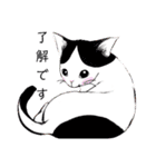 ねこ活（個別スタンプ：16）