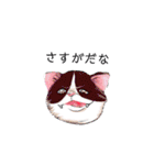 ねこ活（個別スタンプ：18）