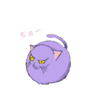 ねこ活（個別スタンプ：21）