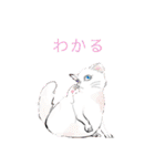 ねこ活（個別スタンプ：29）