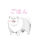 ねこ活（個別スタンプ：30）