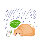 ねこ活（個別スタンプ：34）