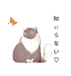 ねこ活（個別スタンプ：36）